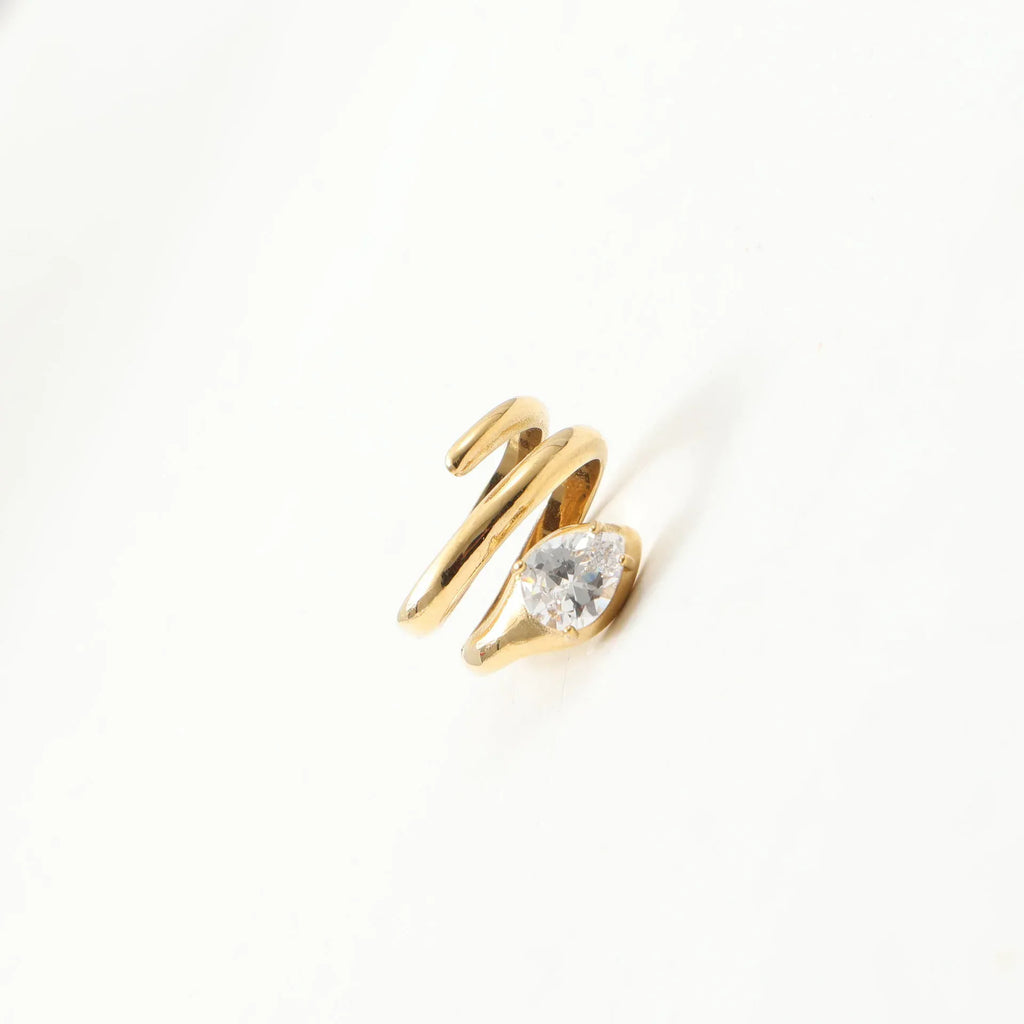 snake-multi-layer-titanium-steel-plating-ring - Viexta
