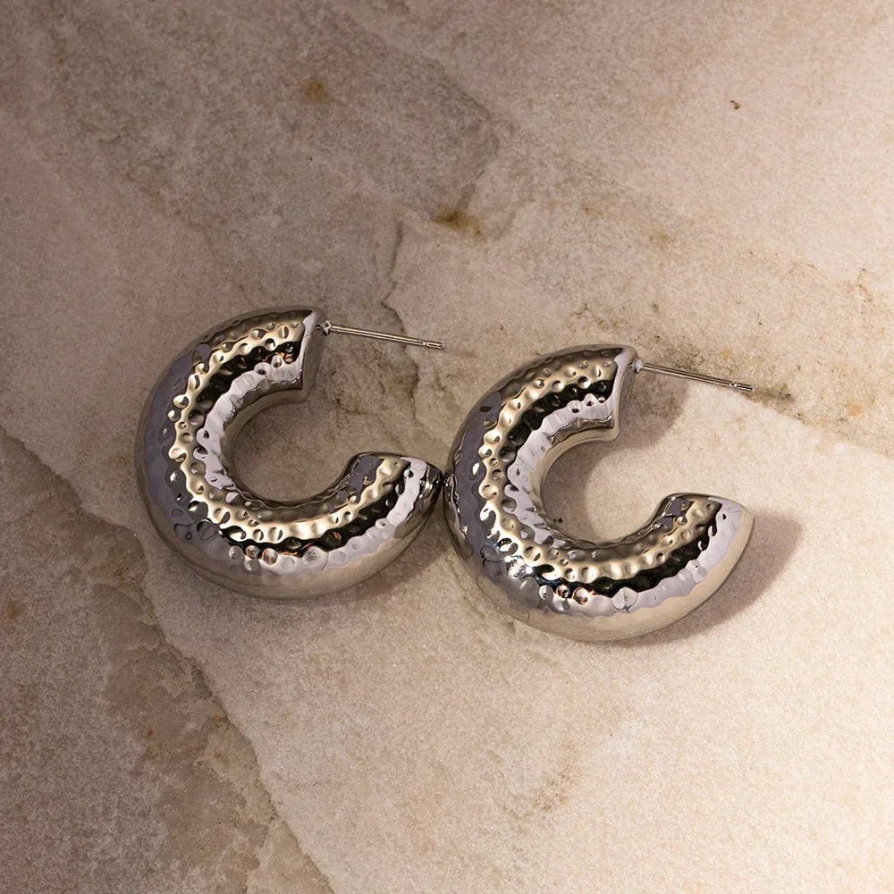 Stainless Steel Curvy Niche Hoops - Viexta