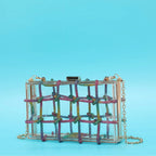 Ladies Shiny Acrylic Transparent Bag - Viexta