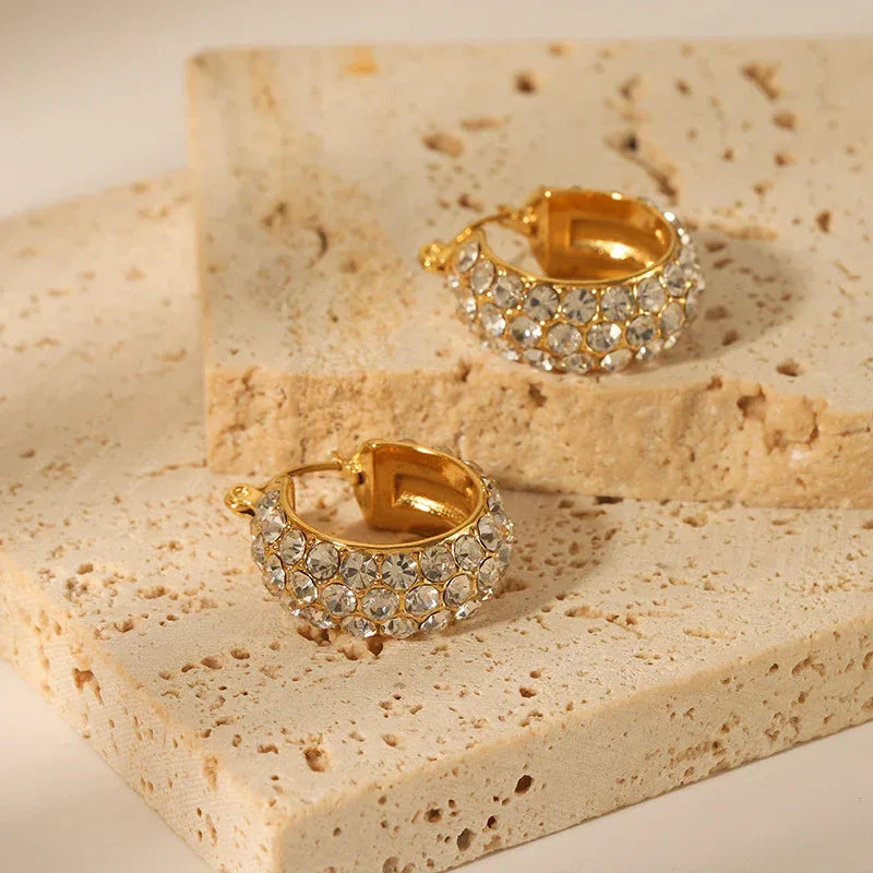 Stainless Steel Earrings With Diamonds - Viexta
