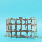 Ladies Shiny Acrylic Transparent Bag - Viexta