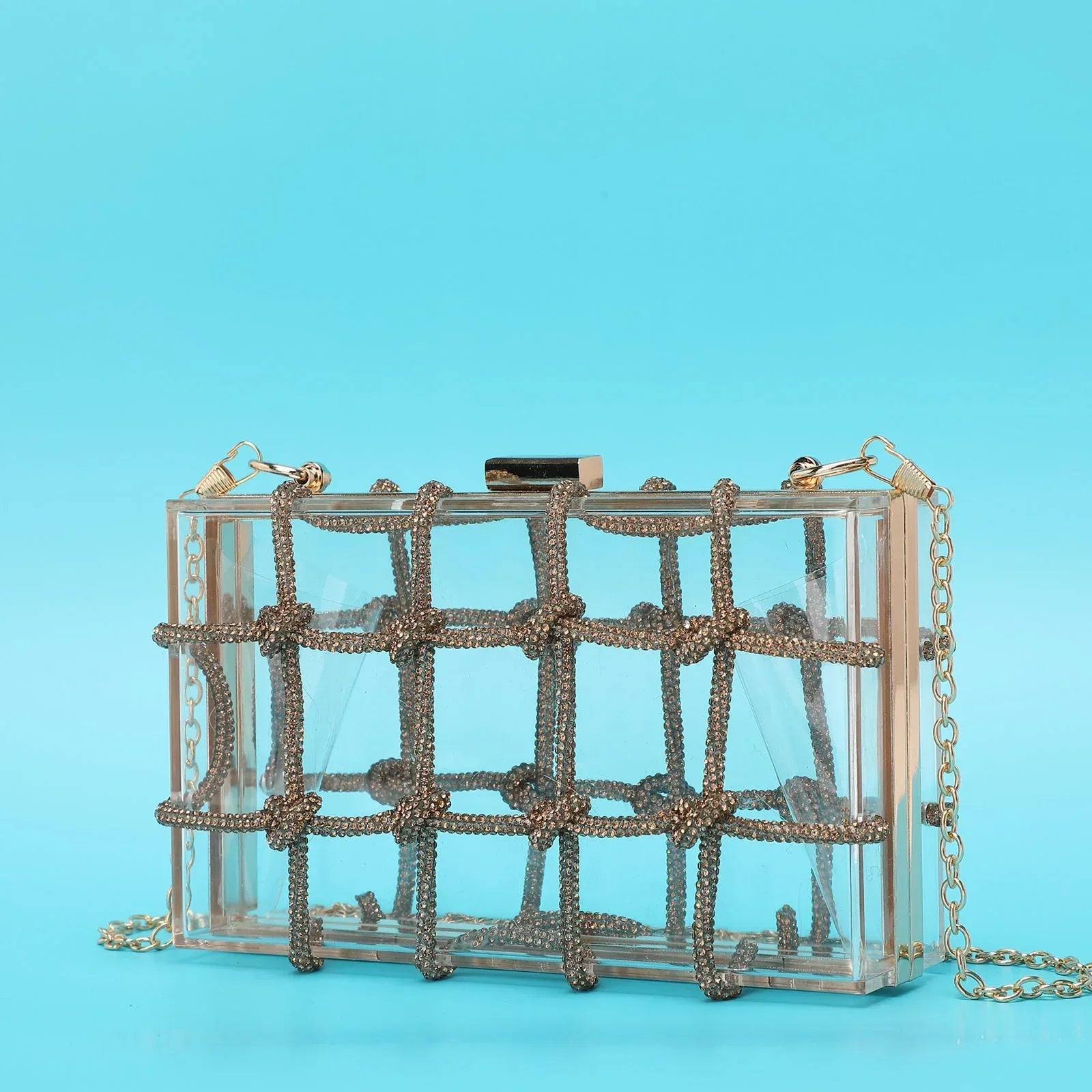 Ladies Shiny Acrylic Transparent Bag - Viexta