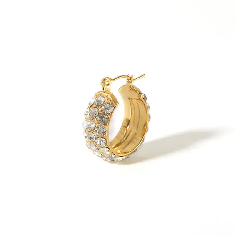 Stainless Steel Earrings With Diamonds - Viexta
