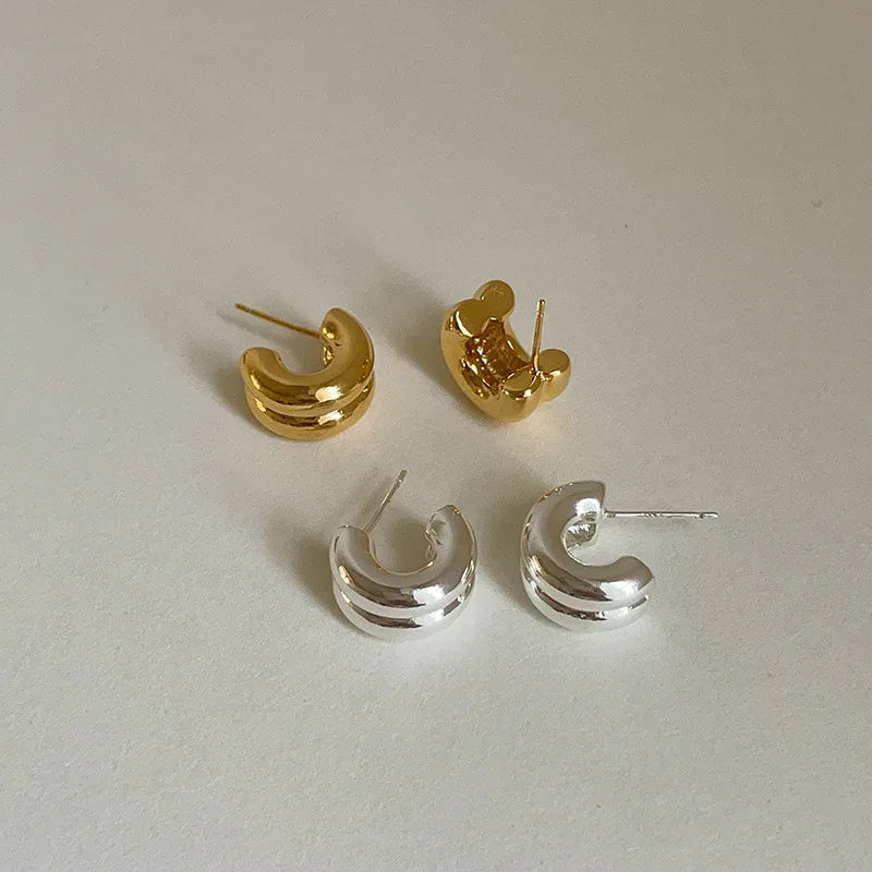 elegant-glossy-double-metal-stud-earrings - Viexta
