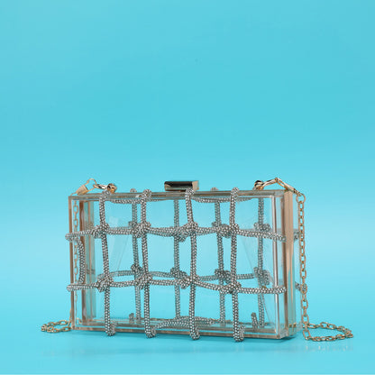 Ladies Shiny Acrylic Transparent Bag