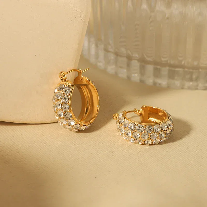 Stainless Steel Earrings With Diamonds - Viexta