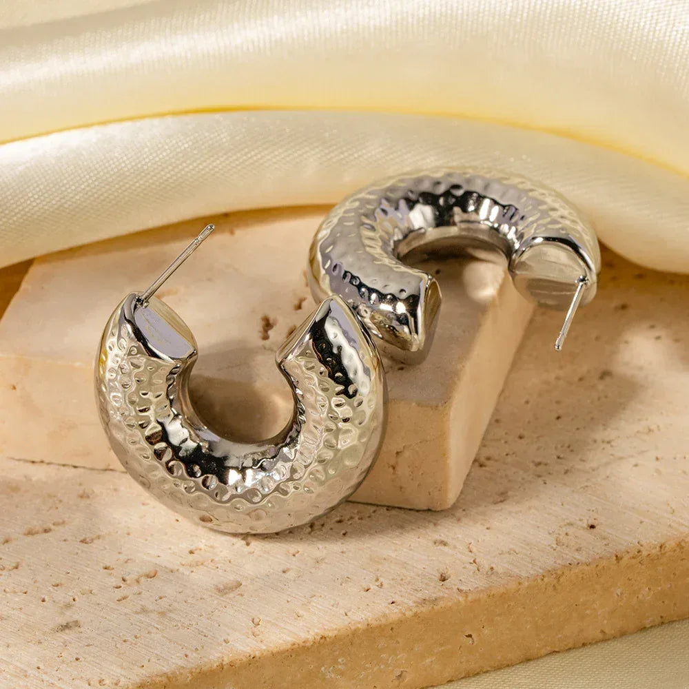 Stainless Steel Curvy Niche Hoops - Viexta