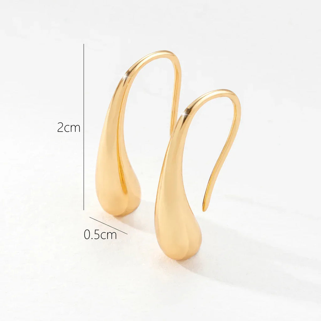 Geometric Metal Glossy Surface Ear Hook - Viexta