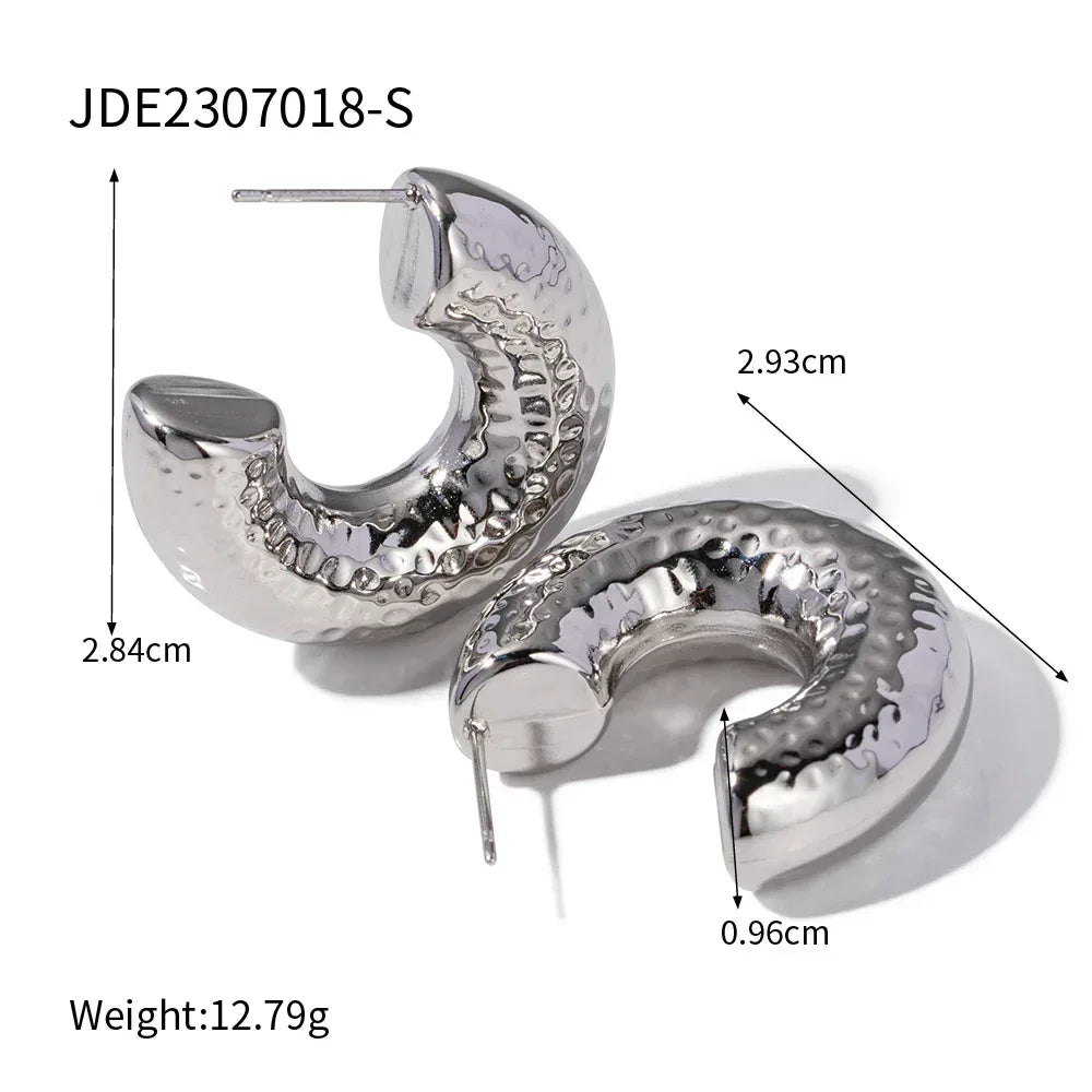 Stainless Steel Curvy Niche Hoops - Viexta