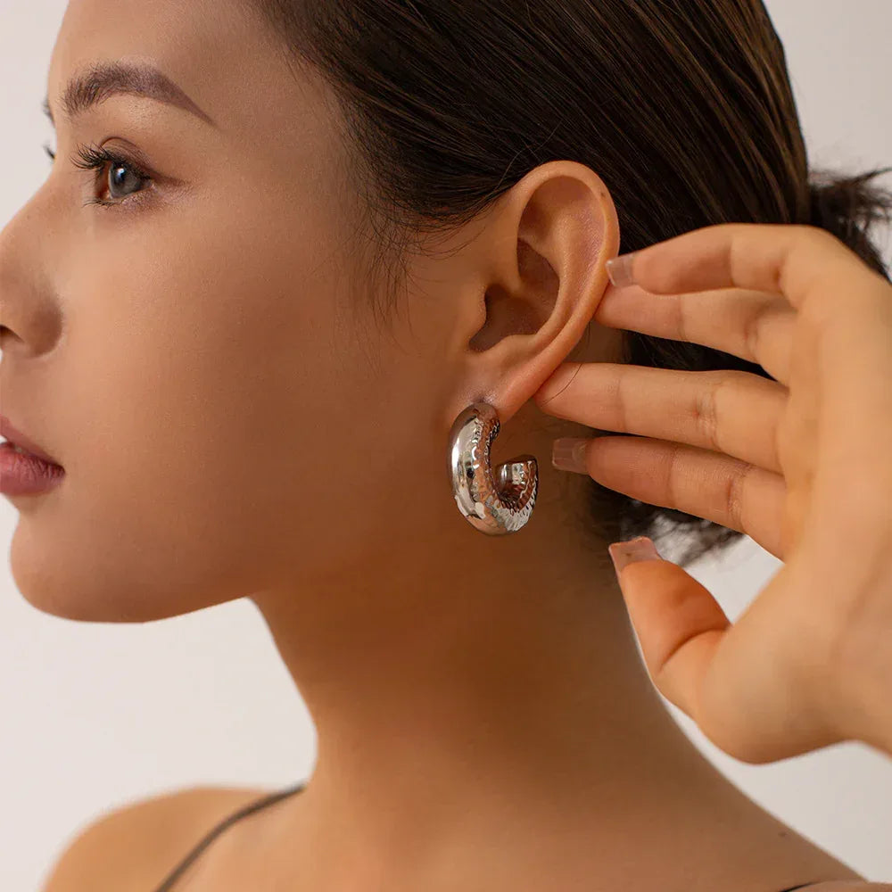 Stainless Steel Curvy Niche Hoops - Viexta