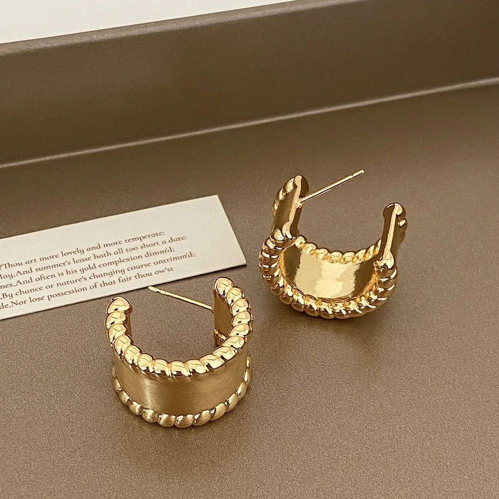 Brushed Metal Stud Earrings - Viexta
