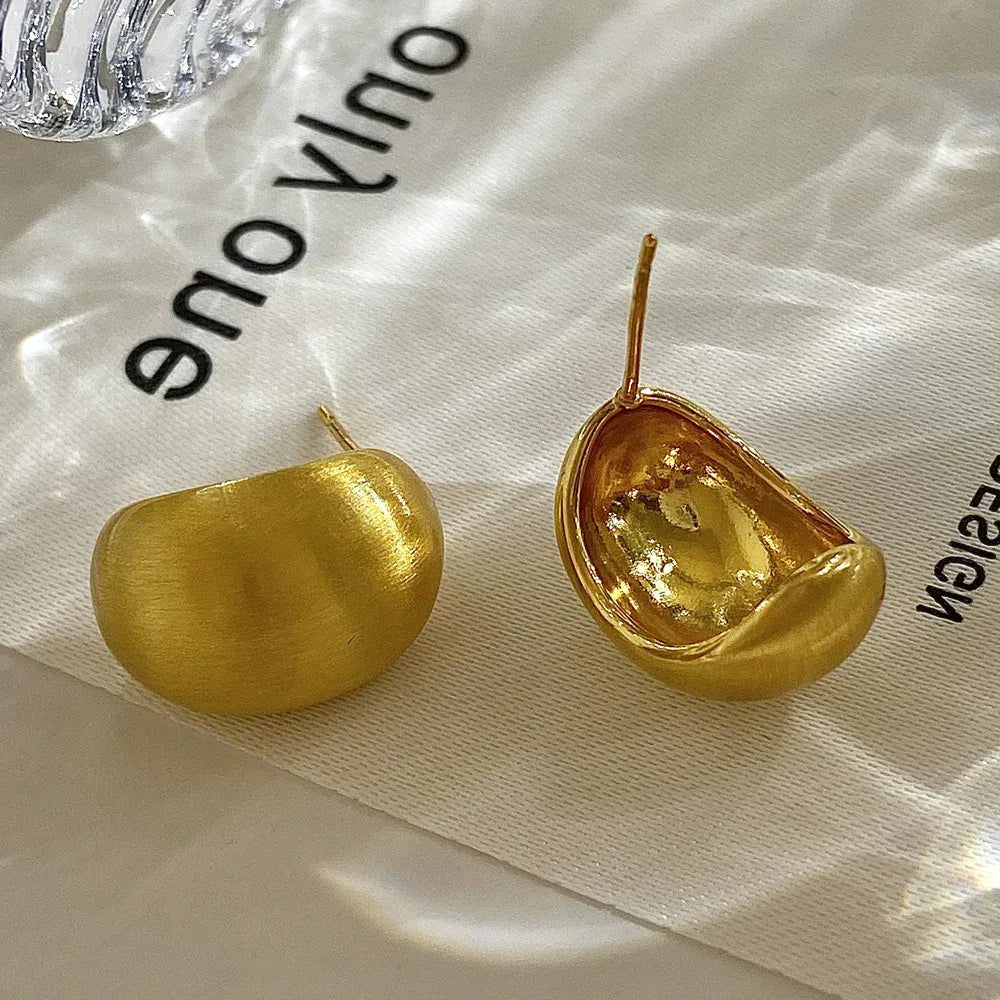 Brushed Metal Stud Earrings - Viexta