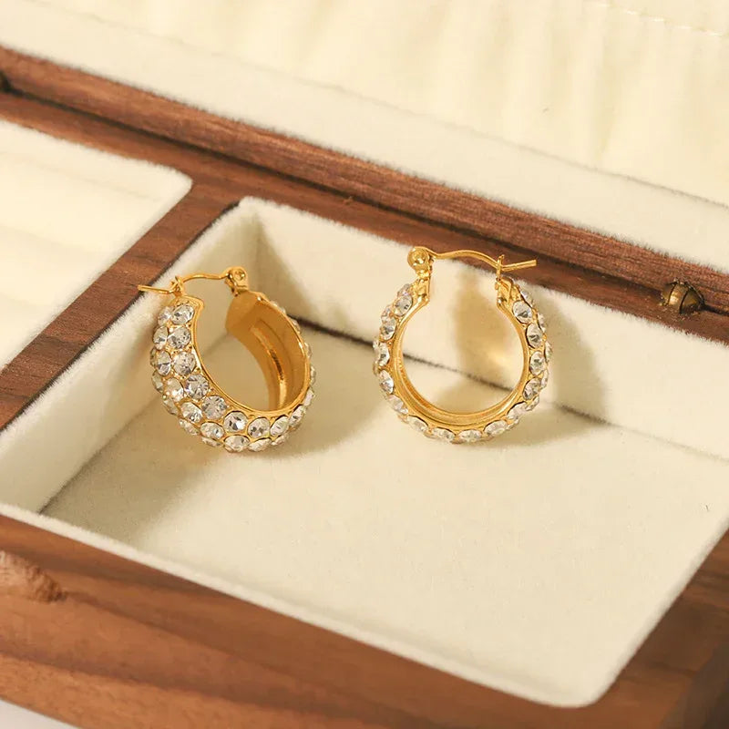 Stainless Steel Earrings With Diamonds - Viexta