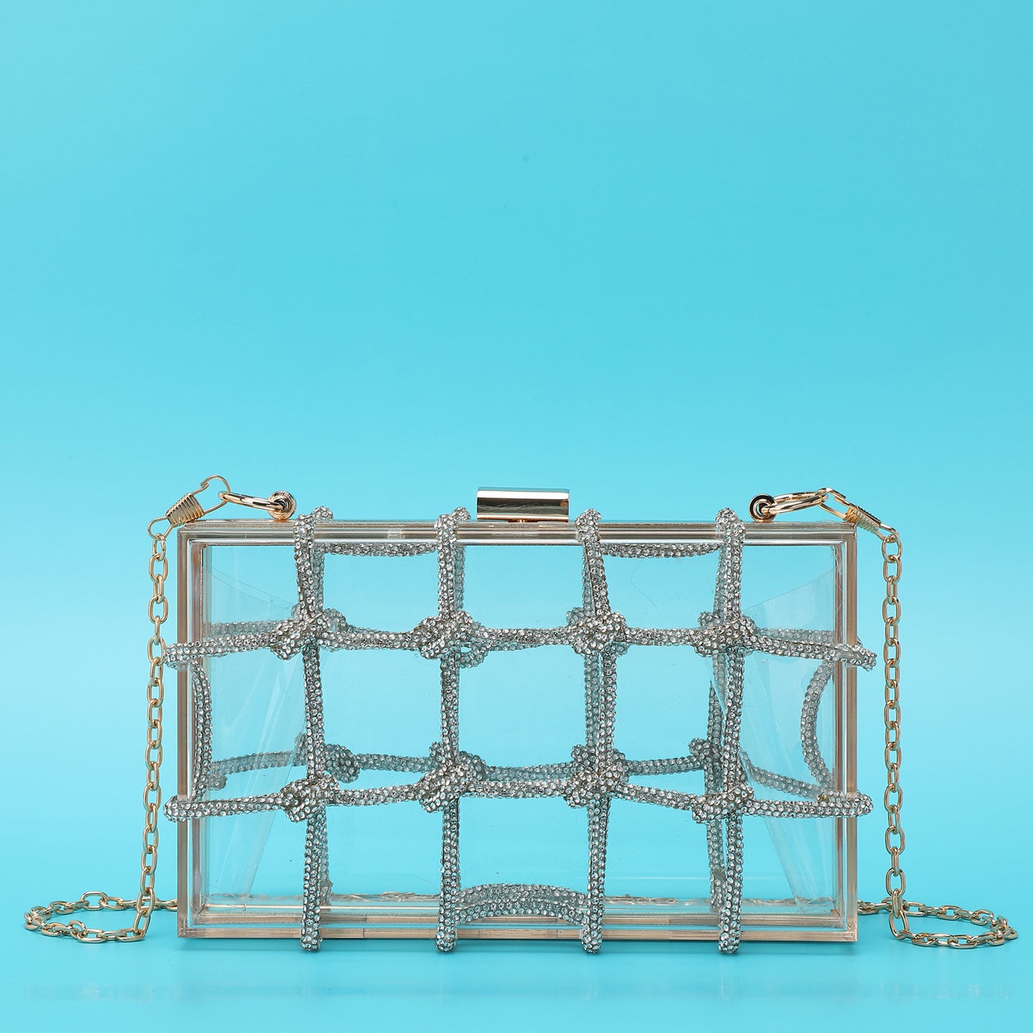 Ladies Shiny Acrylic Transparent Bag