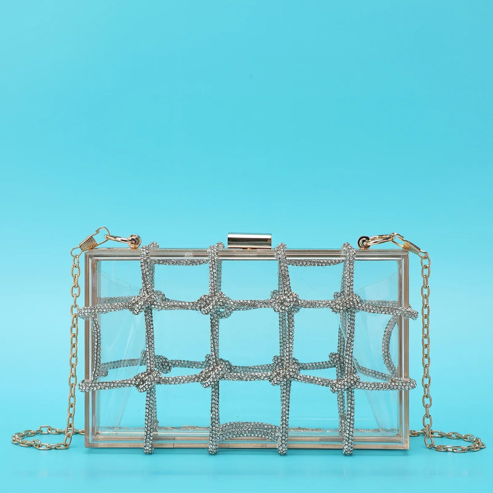 Ladies Shiny Acrylic Transparent Bag - Viexta