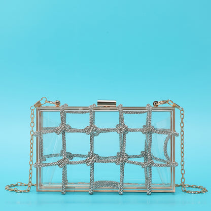 Ladies Shiny Acrylic Transparent Bag