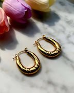 Zenith Hoops
