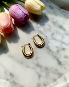 Zenith Hoops