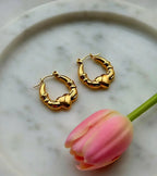 Stellar Hoops