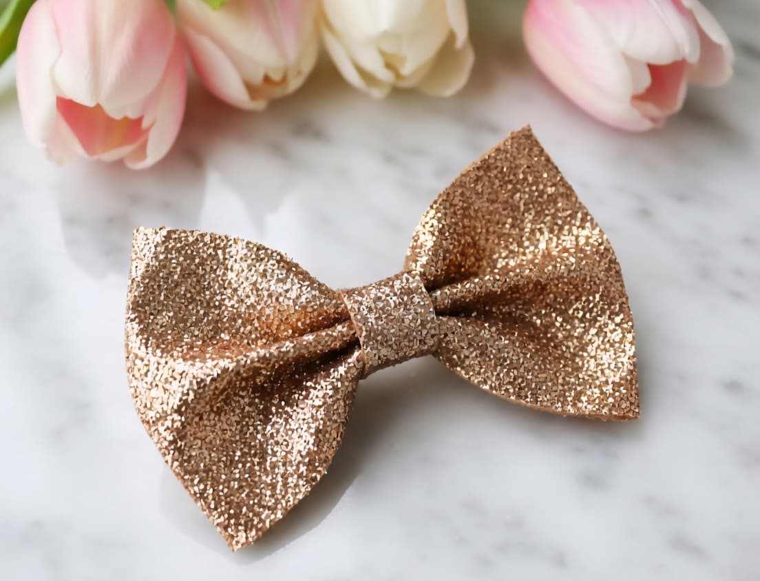 shiny-big-bow-clip