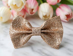 shiny-big-bow-clip