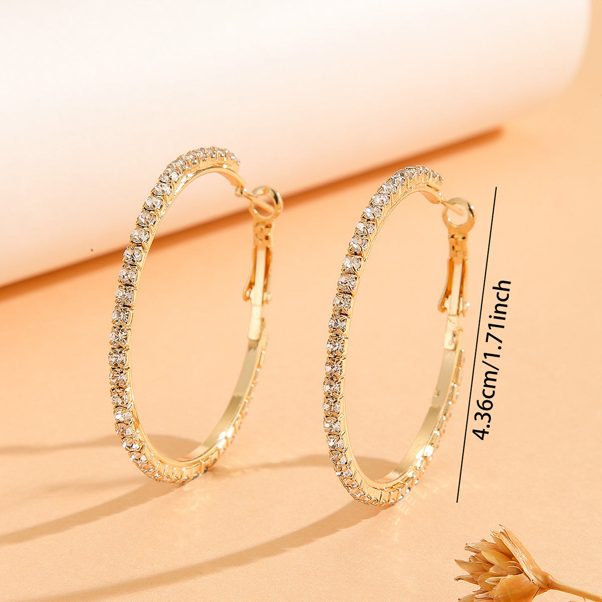 Zircon Inlaid Princess Earrings