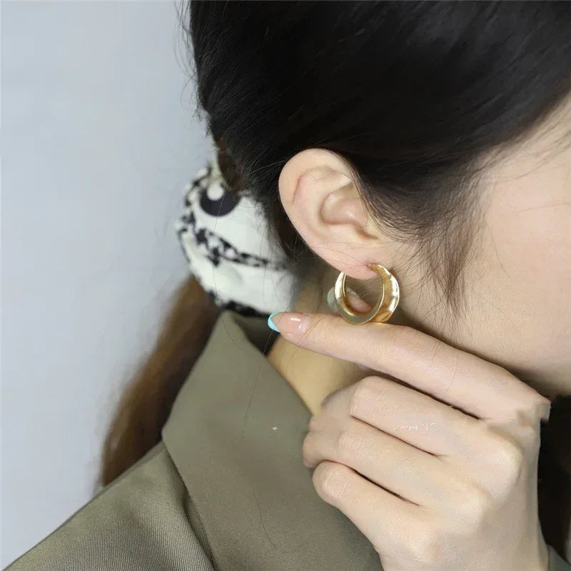 Classic Commuter Earrings - Viexta