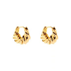 Stainless Steel Twisted Horn Hoops - Viexta