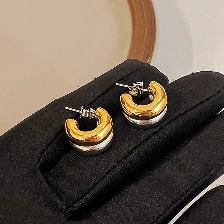 womens-niche-c-type-sterling-silver-needle-earrings - Viexta
