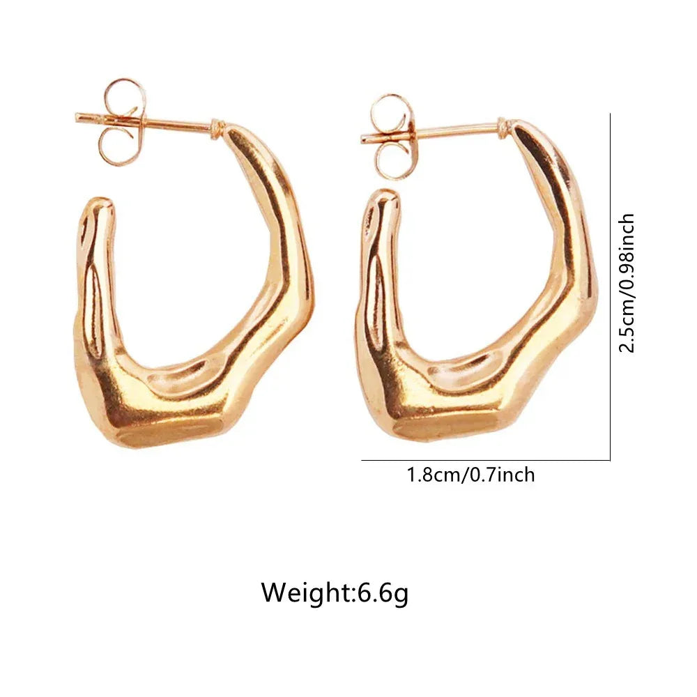 Stainless Steel Hoops - Viexta