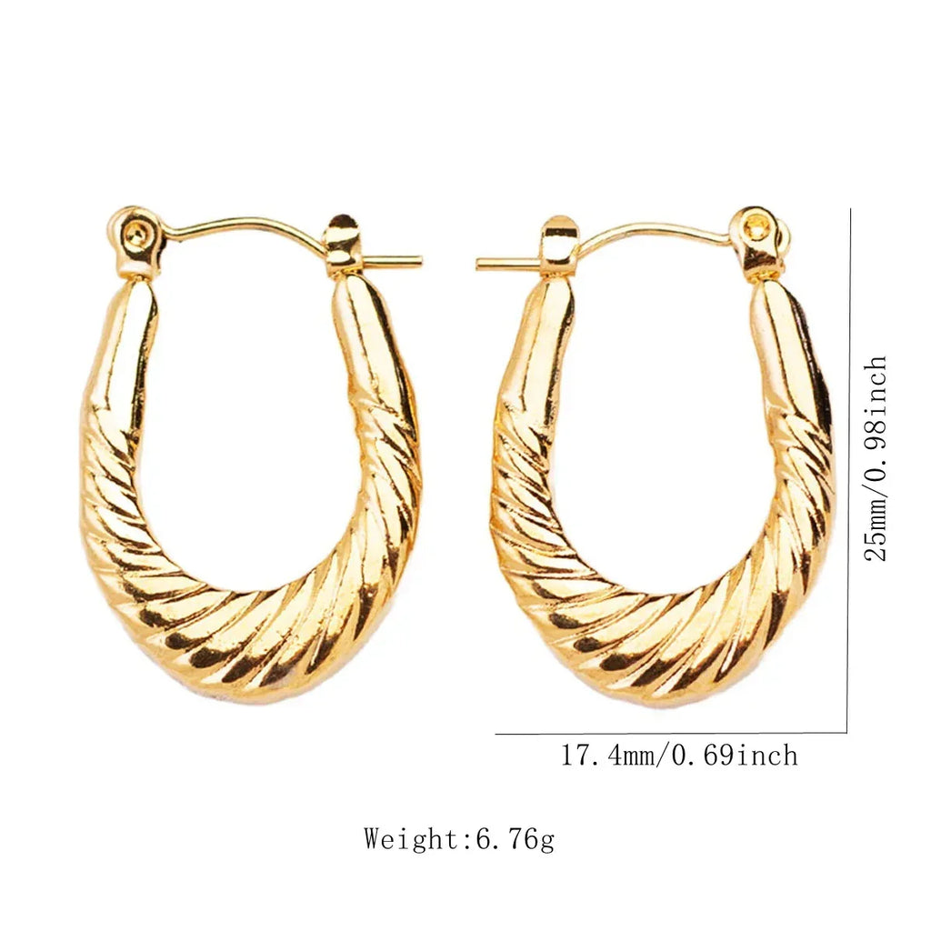 Stainless Steel Hoops - Viexta