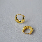 Sleek Trendy Metal Irregular U-shaped Earrings - Viexta