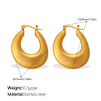 Metallic Gold Earrings