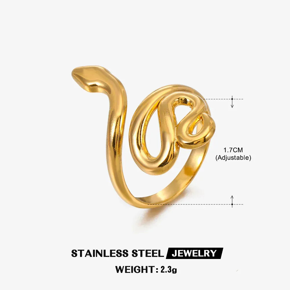 Stainless Steel Snake Earrings - Viexta