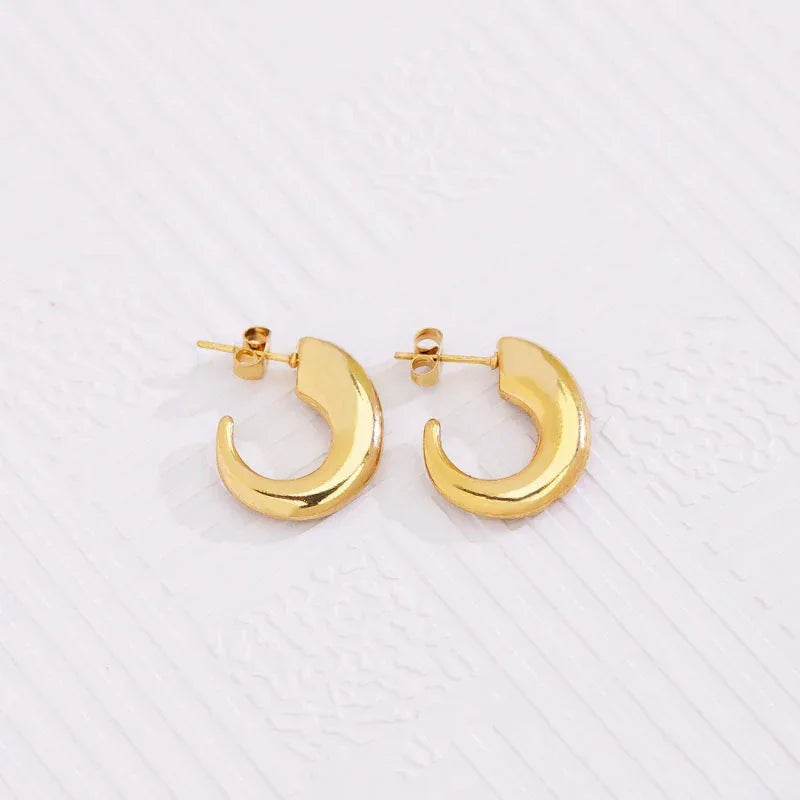 Stainless Steel Hoops - Viexta