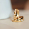 Sparkling Star S925 Earrings - Viexta