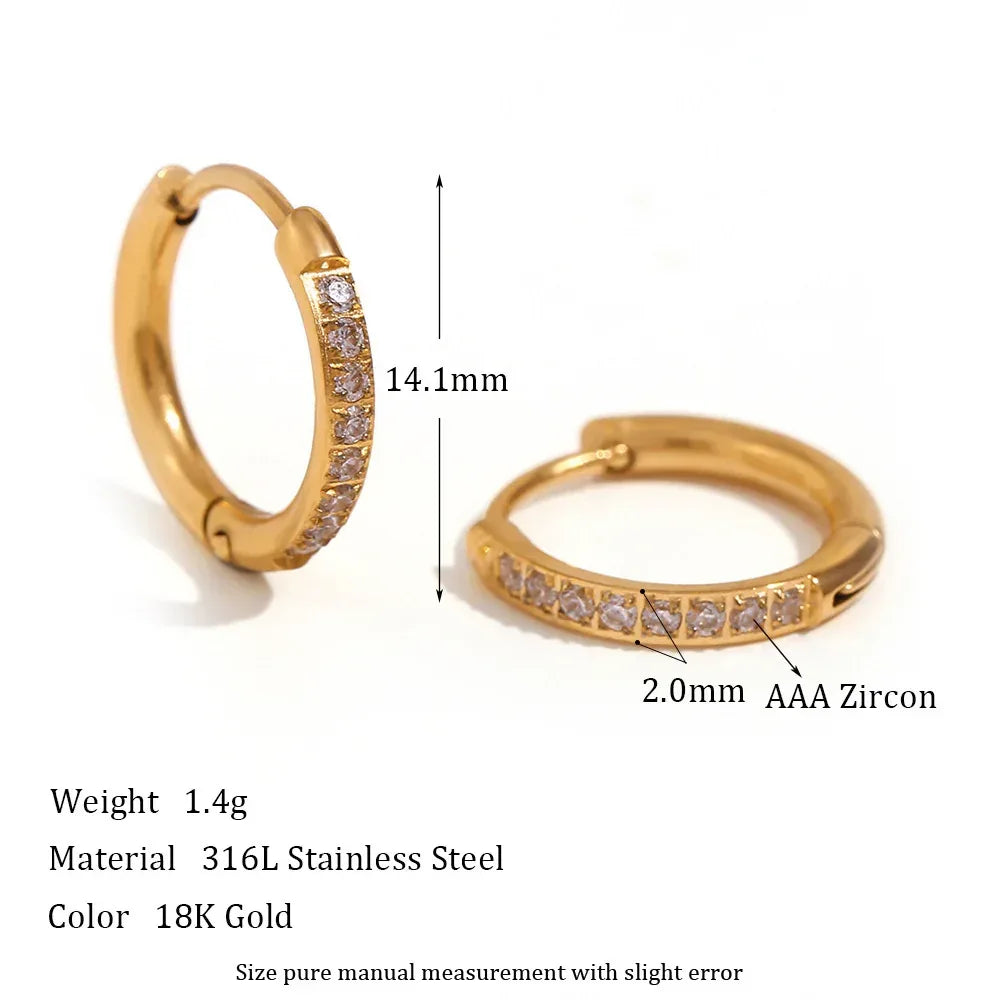 Rounded Edge Zircon Earrings - Viexta