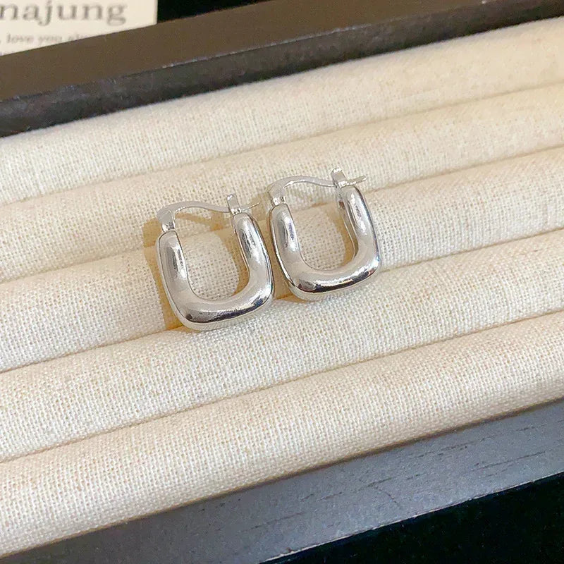 Niche Normcore Earrings - Viexta