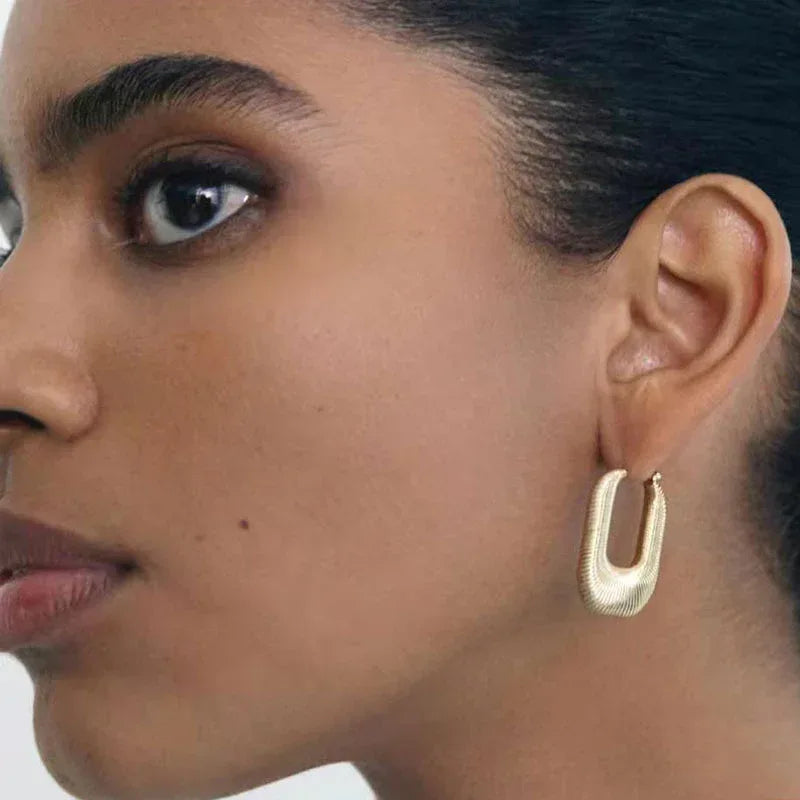 titanium-steel-earrings-earrings - Viexta
