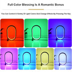 Oval Acrylic Touch Lamp