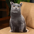 Kitty Pillow Plush Toy Poodle Pomeranian Puppet Doll - Viexta
