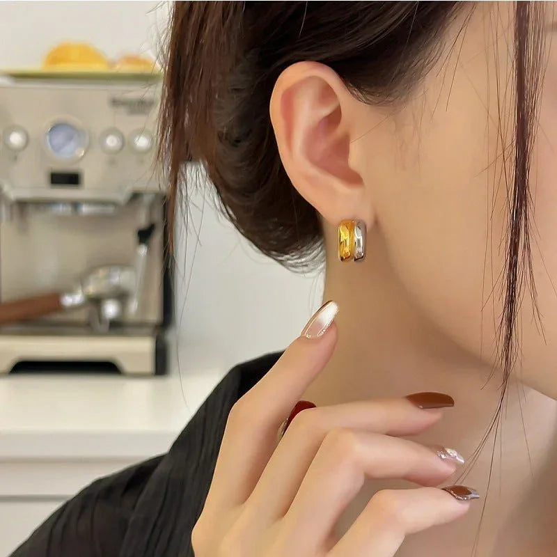 womens-niche-c-type-sterling-silver-needle-earrings - Viexta