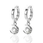 Micro Inlaid Zircon Eardrops - Viexta