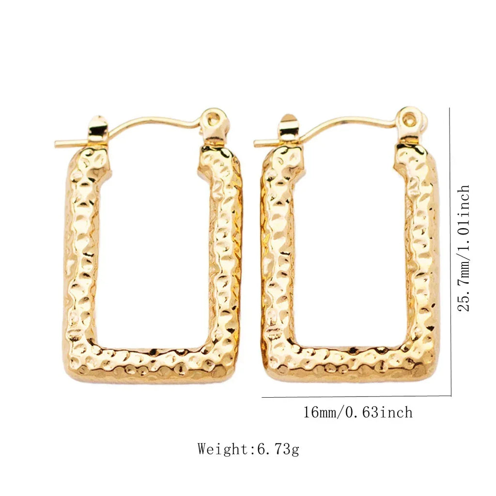 Stainless Steel Hoops - Viexta