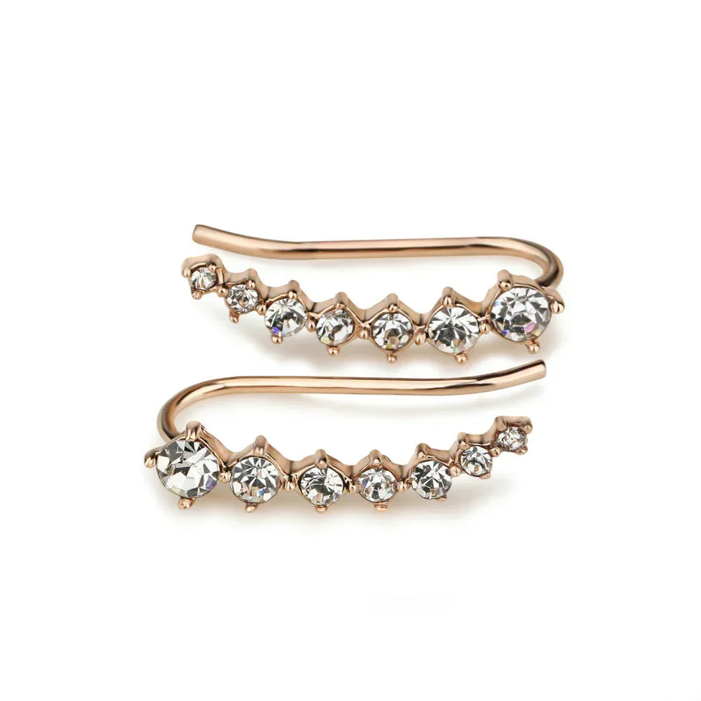 color-zircon-ear-hanging - Viexta