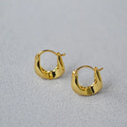 Sleek Trendy Metal Irregular U-shaped Earrings - Viexta