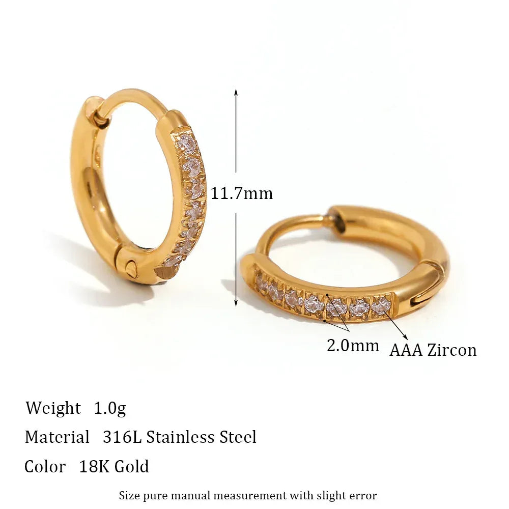 Rounded Edge Zircon Earrings - Viexta