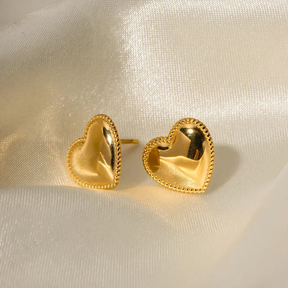 Ruth Heart Stainless Steel Earrings - Viexta