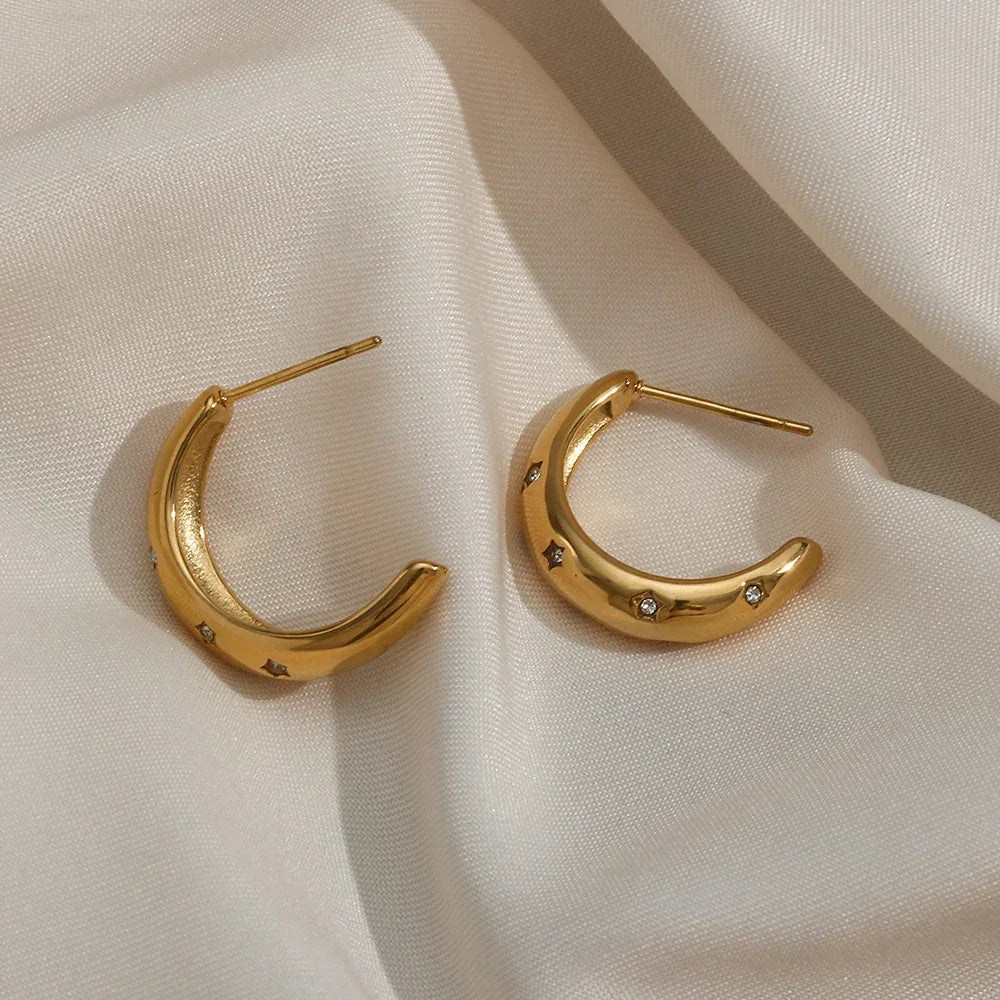 Zircon Moon Earrings - Viexta