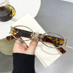 Retro Small Frame Sunglasses For Women - Viexta